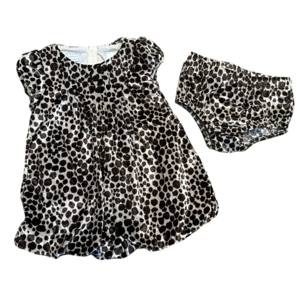 First Impressions Animal Print Velour Bubble Dress With Shorts 6-9 Months